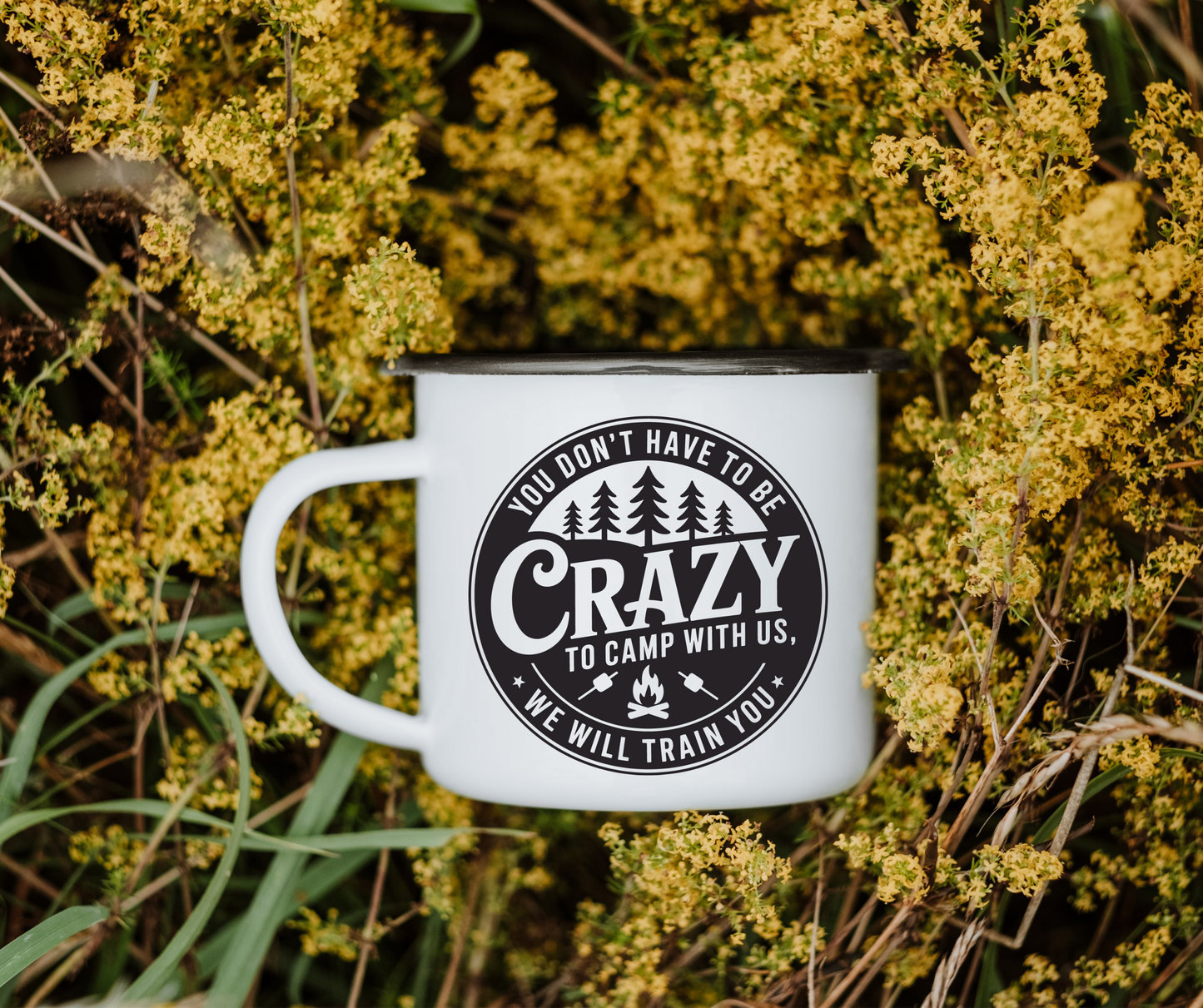 You don't have to be crazy to camp with us 2