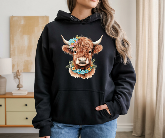 Highland Cow