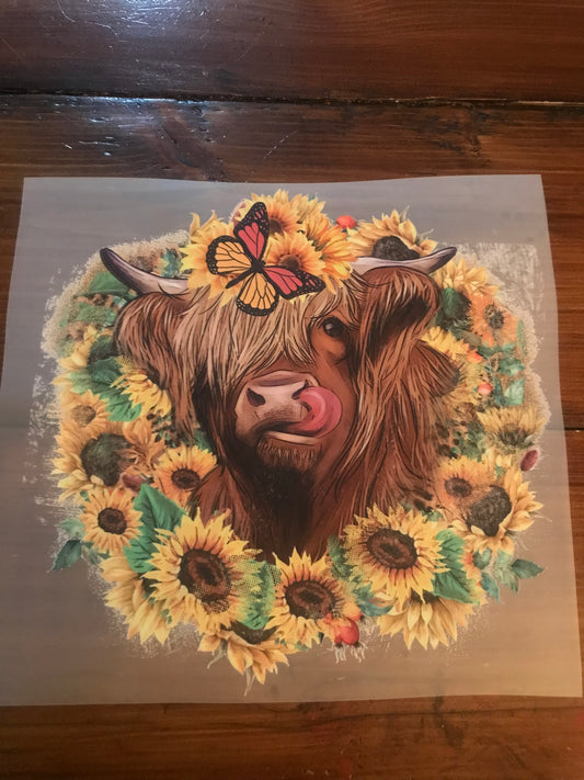 Highland cow with sunflowers