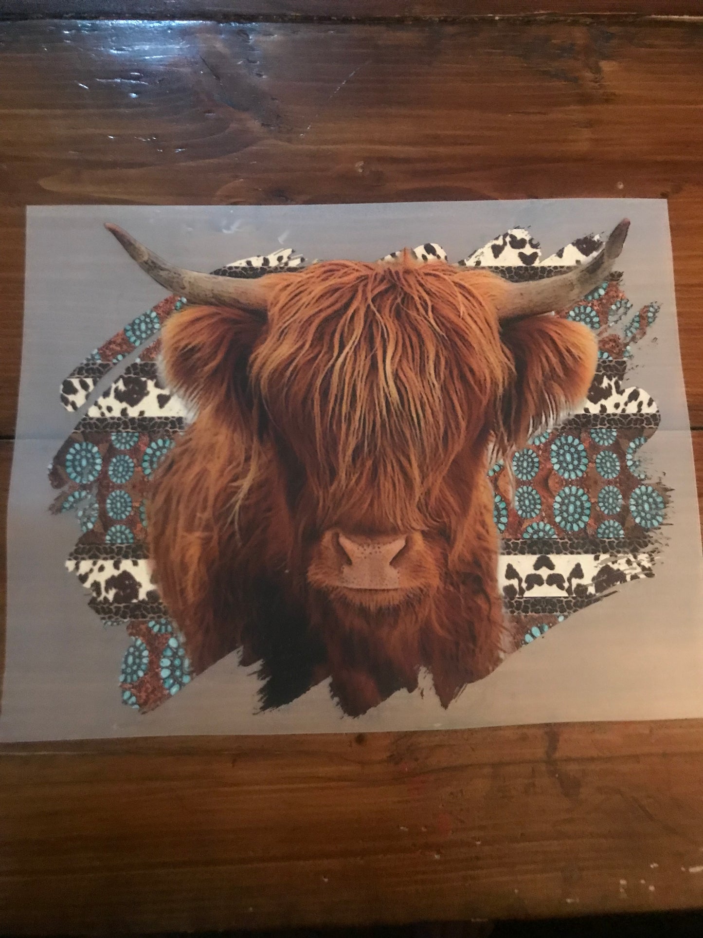 Highland cow