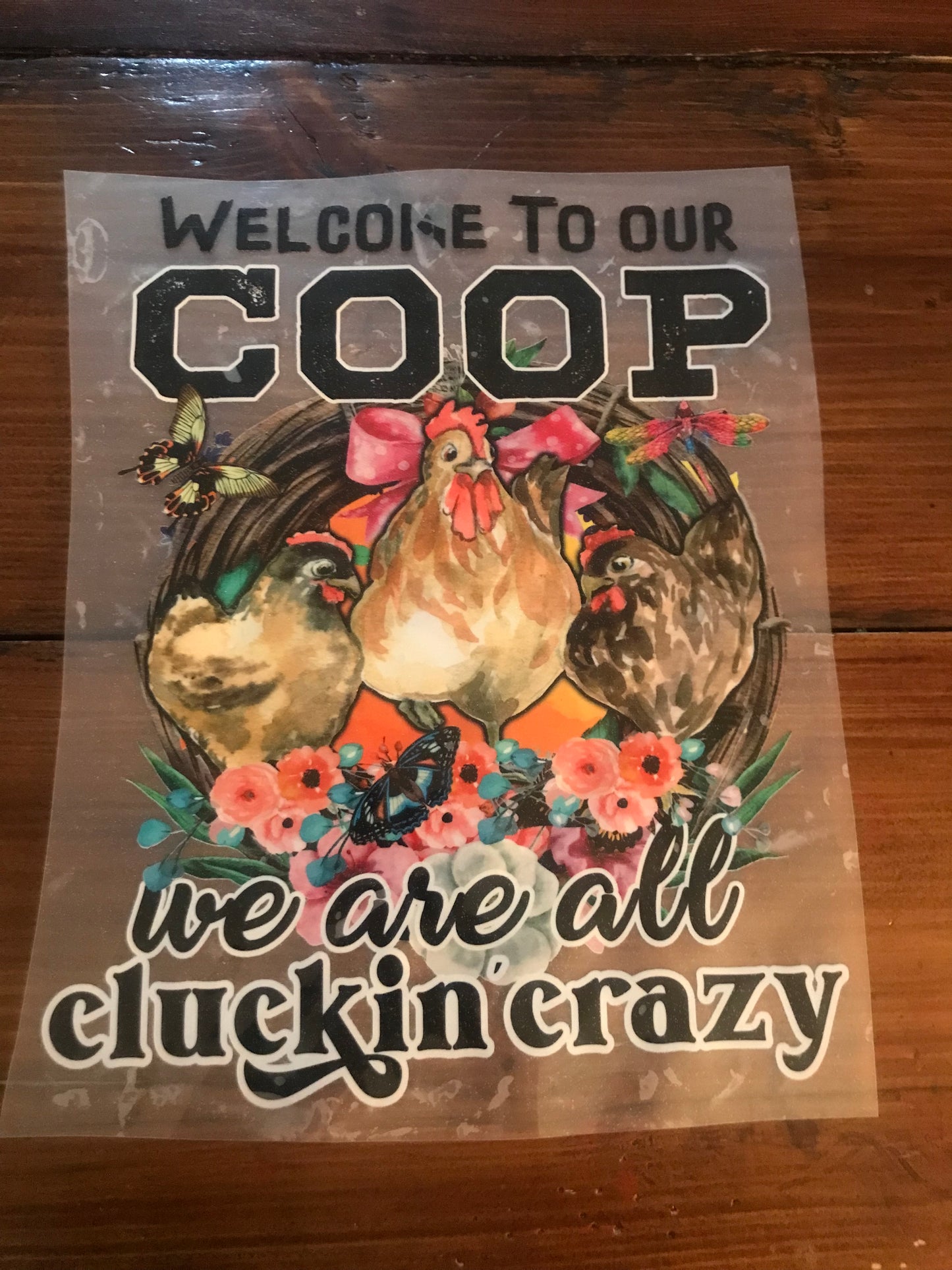 Welcome to our coop